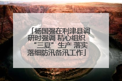 杨国强在利津县调研时强调 精心组织“三夏”生产 落实落细防汛备汛工作