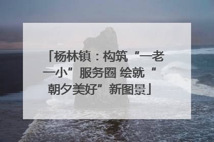 杨林镇：构筑“一老一小”服务圈 绘就“朝夕美好”新图景