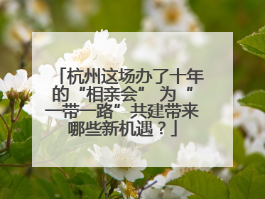杭州这场办了十年的“相亲会” 为“一带一路”共建带来哪些新机遇？
