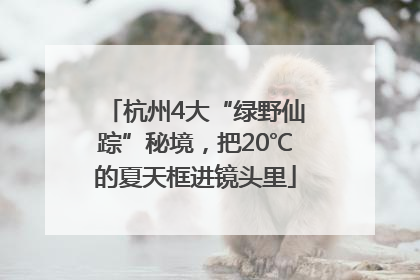 杭州4大“绿野仙踪”秘境，把20℃的夏天框进镜头里