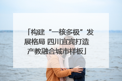 构建“一核多极”发展格局 四川宜宾打造产教融合城市样板
