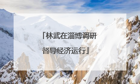 林武在淄博调研督导经济运行