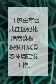 枣庄市台儿庄区强化消费维权 积极开展消费环境建设工作