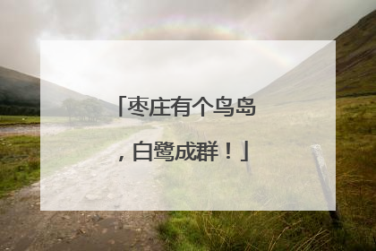 枣庄有个鸟岛，白鹭成群！