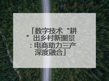 数字技术“耕”出乡村新图景：电商助力三产深度融合