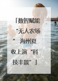数智赋能“无人农场” 海州夏收上演“科技丰景”
