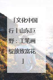 文化中国行丨山东巨野：工笔画绽放致富花