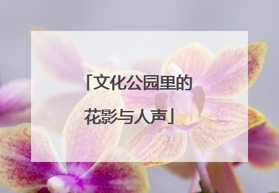 文化公园里的花影与人声