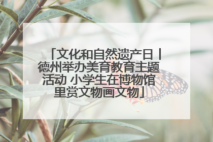 文化和自然遗产日丨德州举办美育教育主题活动 小学生在博物馆里赏文物画文物