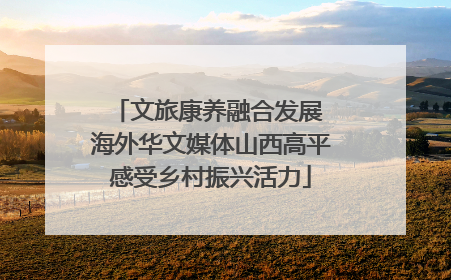 文旅康养融合发展 海外华文媒体山西高平感受乡村振兴活力