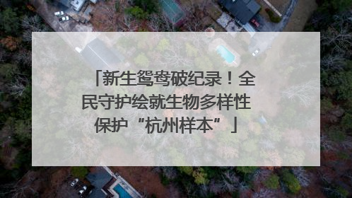 新生鸳鸯破纪录！全民守护绘就生物多样性保护“杭州样本”