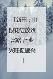 新田：山银花绽放致富路 产业兴旺促振兴
