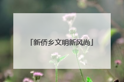 新侨乡文明新风尚