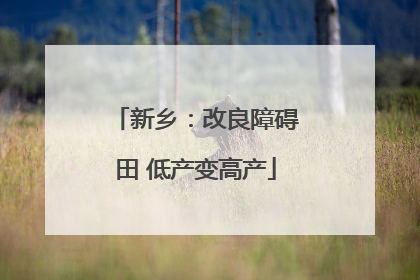 新乡：改良障碍田 低产变高产