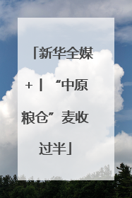 新华全媒+丨“中原粮仓”麦收过半