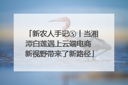 新农人手记⑤丨当湘潭白莲遇上云端电商 新视野带来了新路径