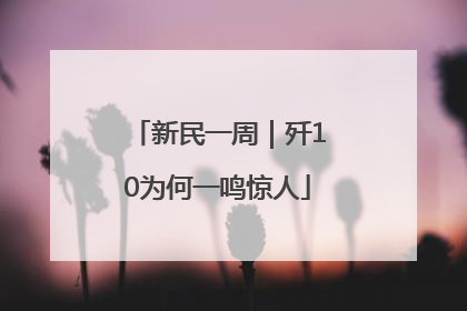 新民一周｜歼10为何一鸣惊人