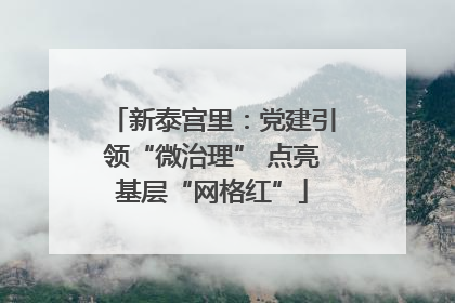 新泰宫里：党建引领“微治理” 点亮基层“网格红”