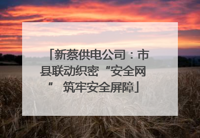新蔡供电公司：市县联动织密“安全网” 筑牢安全屏障