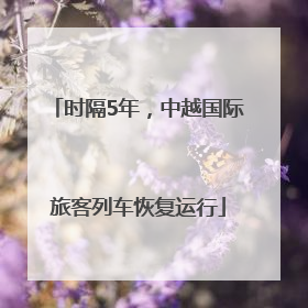 时隔5年，中越国际旅客列车恢复运行