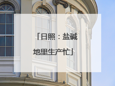 日照：盐碱地里生产忙