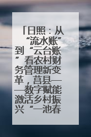 日照：从“流水账”到“云台账”看农村财务管理新变革，莒县——数字赋能激活乡村振兴“一池春水”