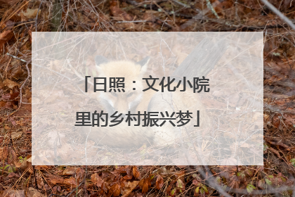 日照：文化小院里的乡村振兴梦