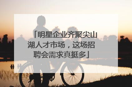 明星企业齐聚尖山湖人才市场，这场招聘会需求真挺多