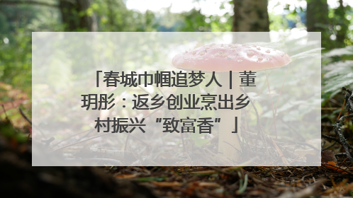 春城巾帼追梦人｜董玥彤：返乡创业烹出乡村振兴“致富香”