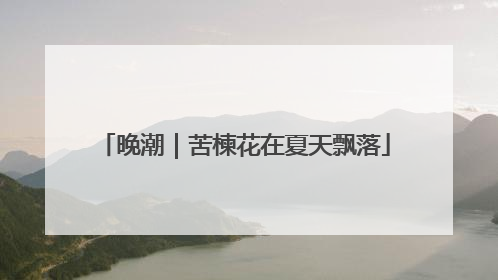 晚潮｜苦楝花在夏天飘落