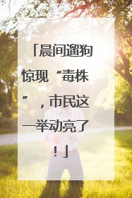 晨间遛狗惊现“毒株”，市民这一举动亮了！