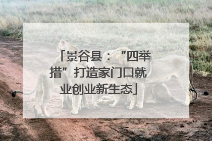 景谷县：“四举措”打造家门口就业创业新生态