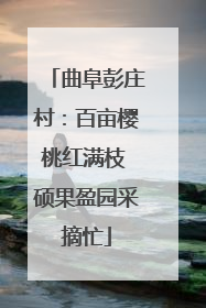曲阜彭庄村：百亩樱桃红满枝 硕果盈园采摘忙