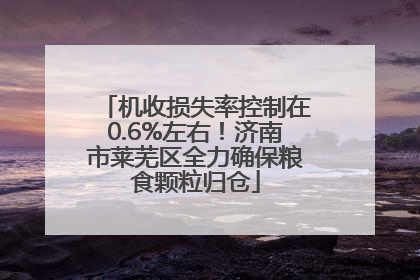 机收损失率控制在0.6%左右！济南市莱芜区全力确保粮食颗粒归仓