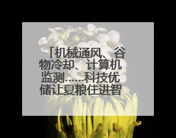 机械通风、谷物冷却、计算机监测……科技优储让夏粮住进智慧的“家”