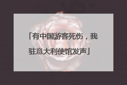 有中国游客死伤，我驻意大利使馆发声