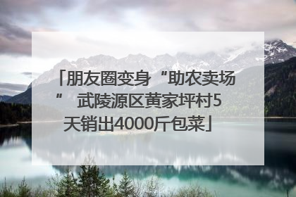 朋友圈变身“助农卖场” 武陵源区黄家坪村5天销出4000斤包菜