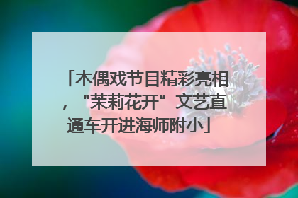 木偶戏节目精彩亮相，“茉莉花开”文艺直通车开进海师附小
