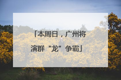 本周日，广州将演群“龙”争霸