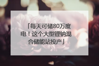 每天可储80万度电！这个大型锂钠混合储能站投产