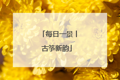 每日一景丨 古筝新韵