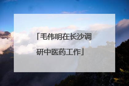 毛伟明在长沙调研中医药工作