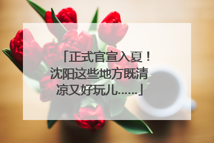 正式官宣入夏！沈阳这些地方既清凉又好玩儿……