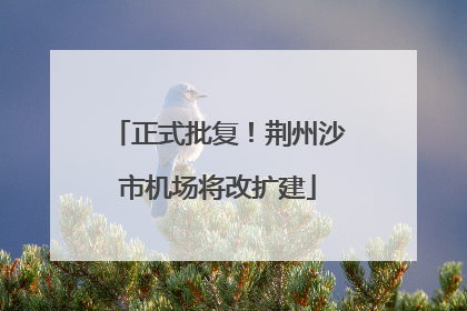 正式批复！荆州沙市机场将改扩建