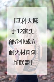 武科大携手12家头部企业成立耐火材料创新联盟