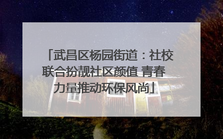 武昌区杨园街道：社校联合扮靓社区颜值 青春力量推动环保风尚