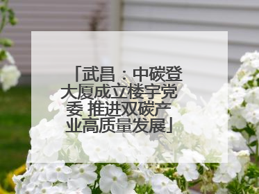 武昌：中碳登大厦成立楼宇党委 推进双碳产业高质量发展