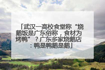 武汉一高校食堂称“烧鹅饭是广东俗称，食材为烤鸭”？广东多家烧鹅店：鸭是鸭鹅是鹅