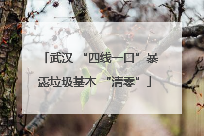 武汉 “四线一口”暴露垃圾基本 “清零”