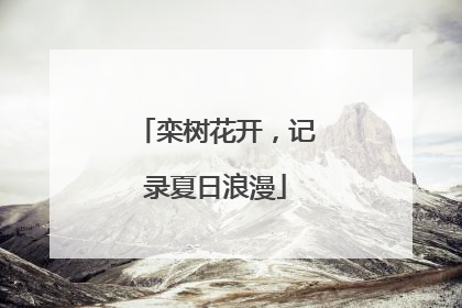 栾树花开，记录夏日浪漫